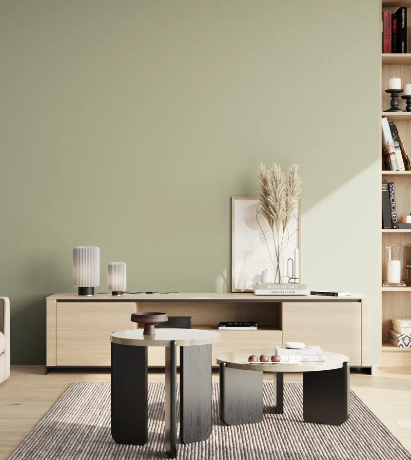 P10_SNIEZKA_salon_02_poludnie_GREY_S2010-G50Y