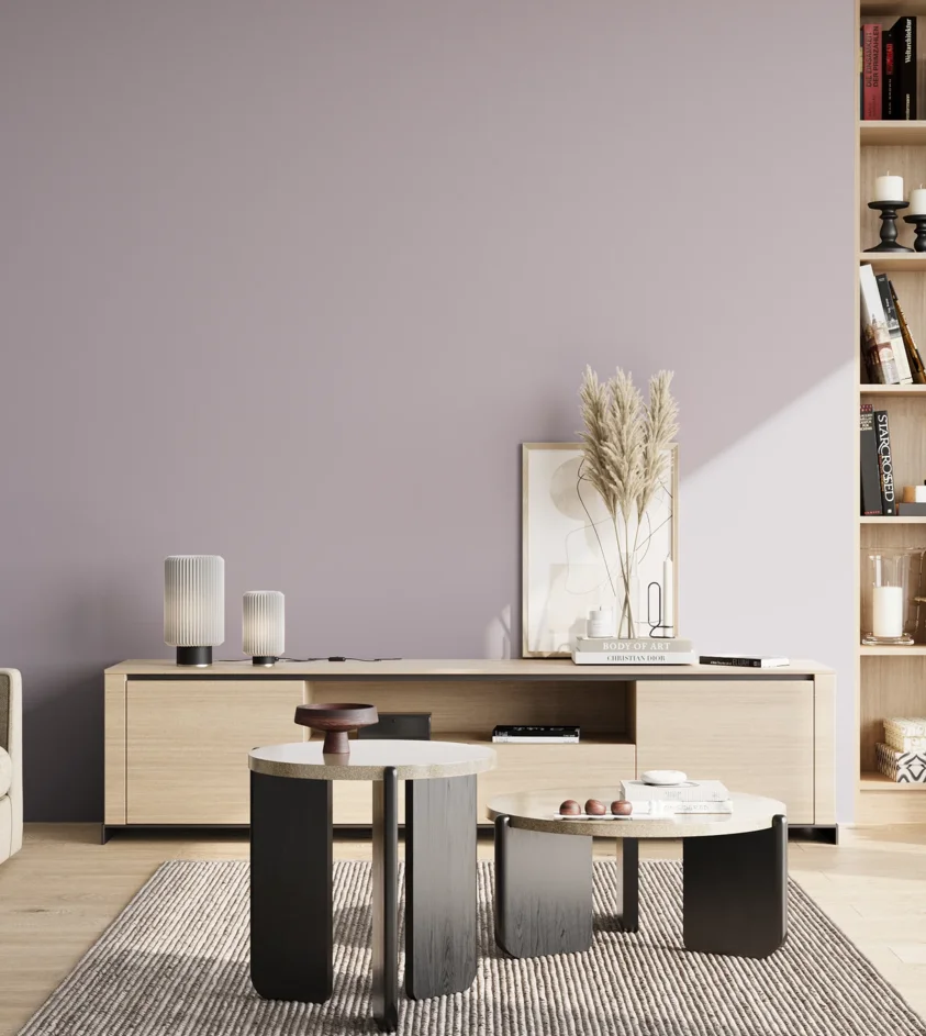 P10_SNIEZKA_salon_02_poludnie_GREY_S2010-R50B