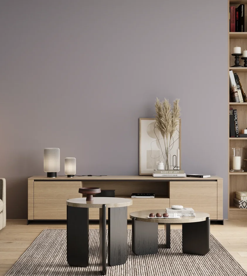P10_SNIEZKA_salon_00_neutral_GREY_S2010-R60B