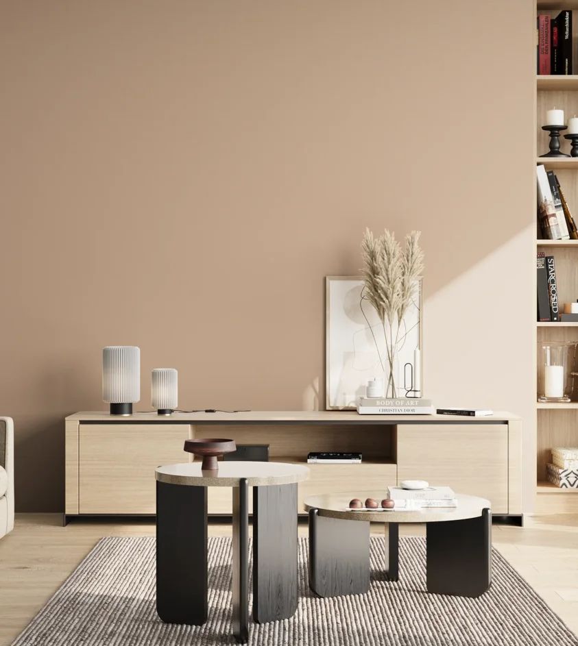 P10_SNIEZKA_salon_02_poludnie_GREY_S2010-Y50R