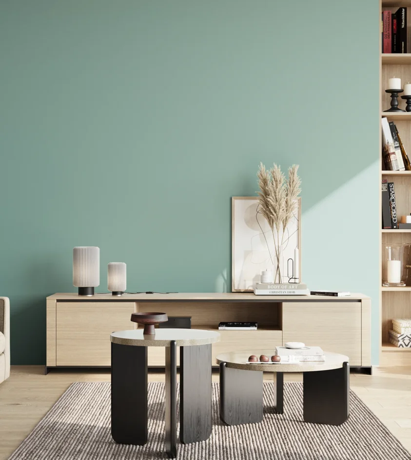 P10_SNIEZKA_salon_02_poludnie_GREY_S2020-B60G