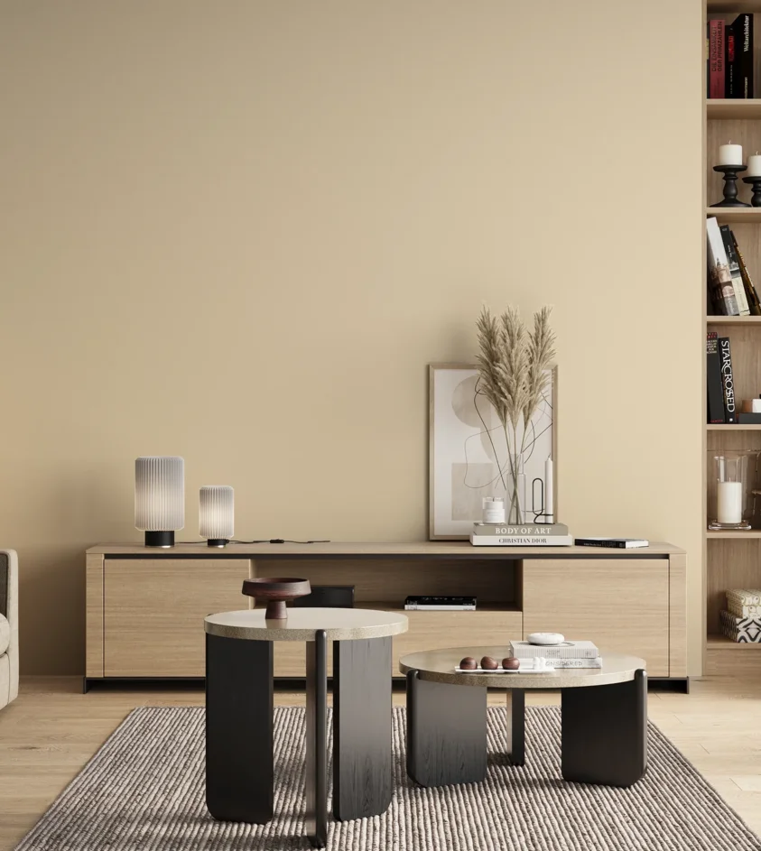 P10_SNIEZKA_salon_00_neutral_GREY_B7