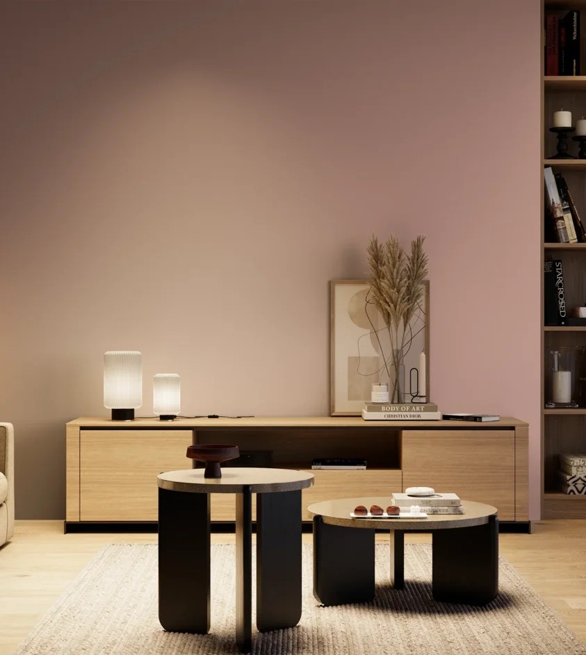 P10_SNIEZKA_salon_04_cieple_GREY_S2020-R