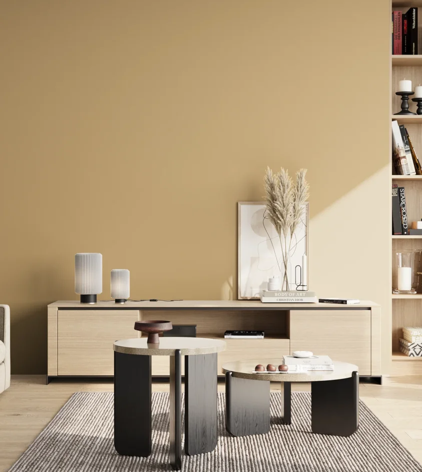 P10_SNIEZKA_salon_02_poludnie_GREY_S2020-Y20R
