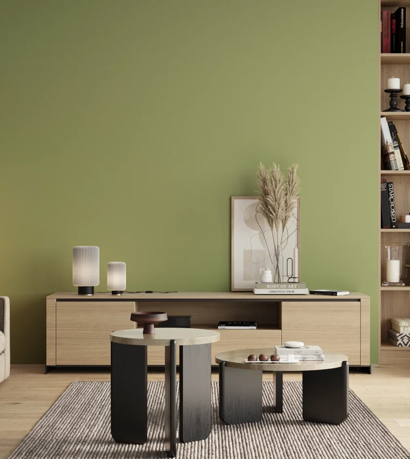 P10_SNIEZKA_salon_00_neutral_GREY_S2030-G50Y