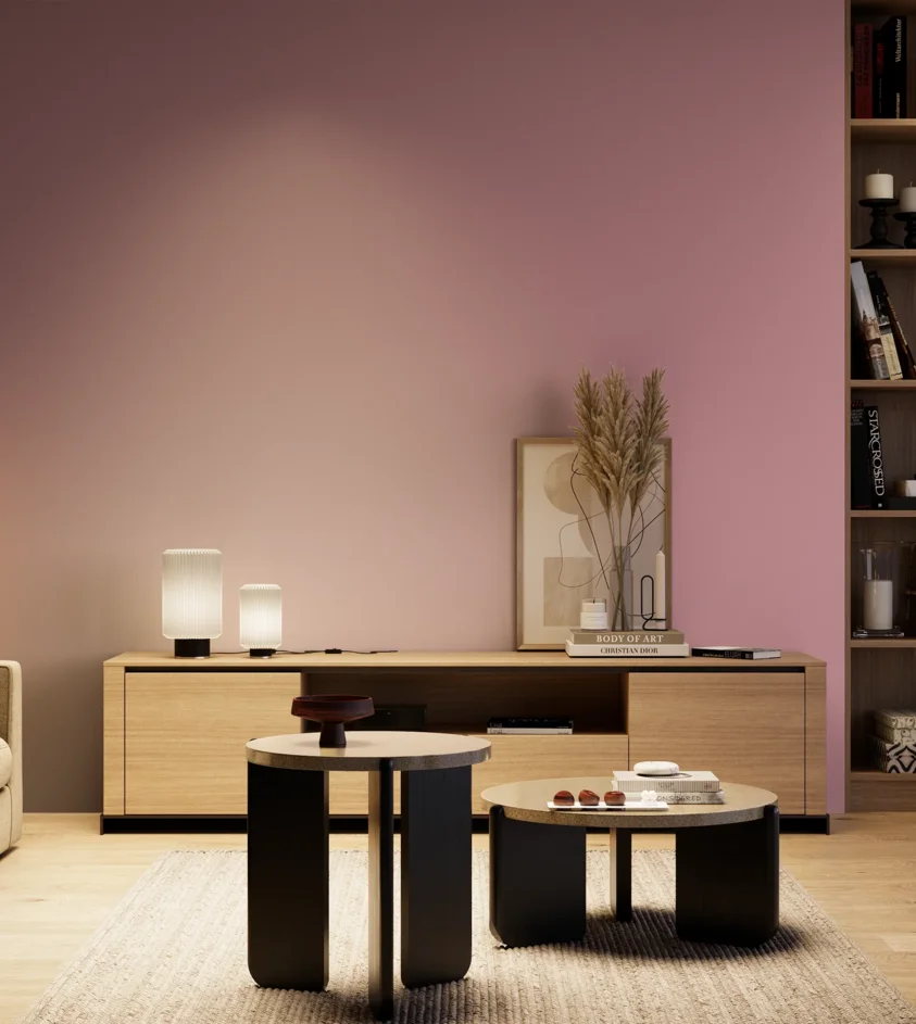 P10_SNIEZKA_salon_04_cieple_GREY_S2030-R20B