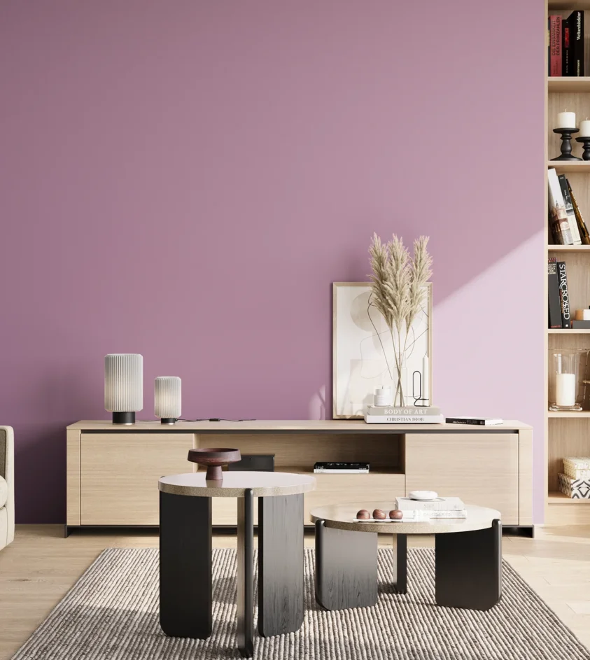 P10_SNIEZKA_salon_02_poludnie_GREY_S2030-R40B