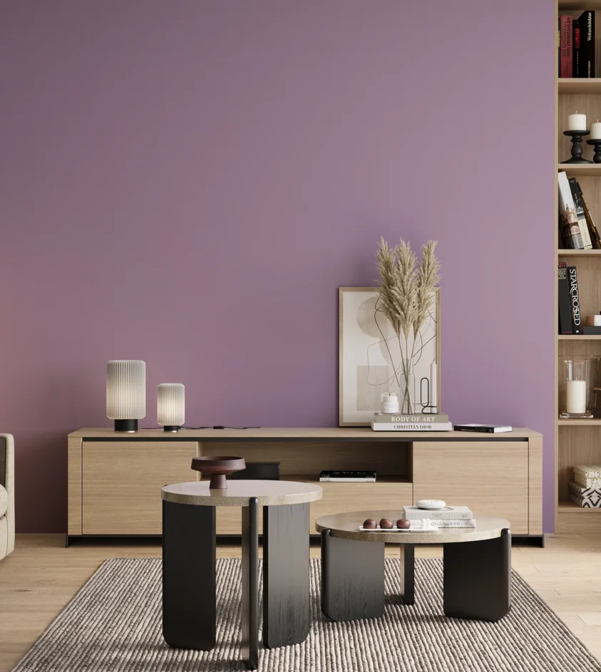 P10_SNIEZKA_salon_00_neutral_GREY_S2030-R50B