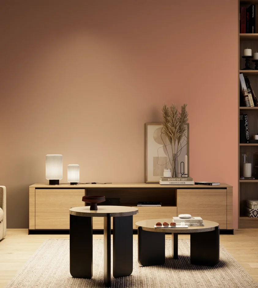 P10_SNIEZKA_salon_04_cieple_GREY_S2030-Y70R