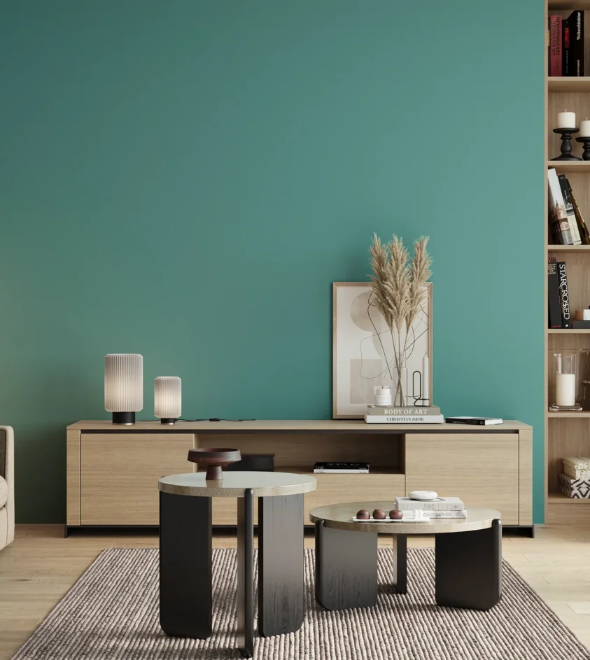 P10_SNIEZKA_salon_00_neutral_GREY_S2040-B50G