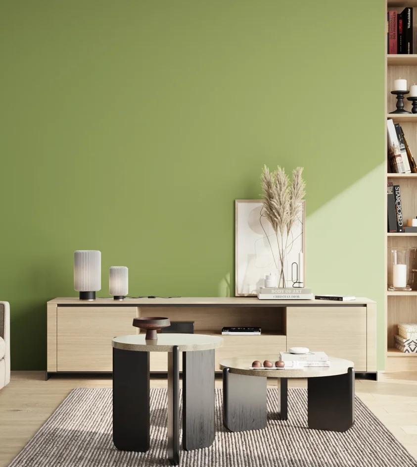 P10_SNIEZKA_salon_02_poludnie_GREY_S2040-G40Y