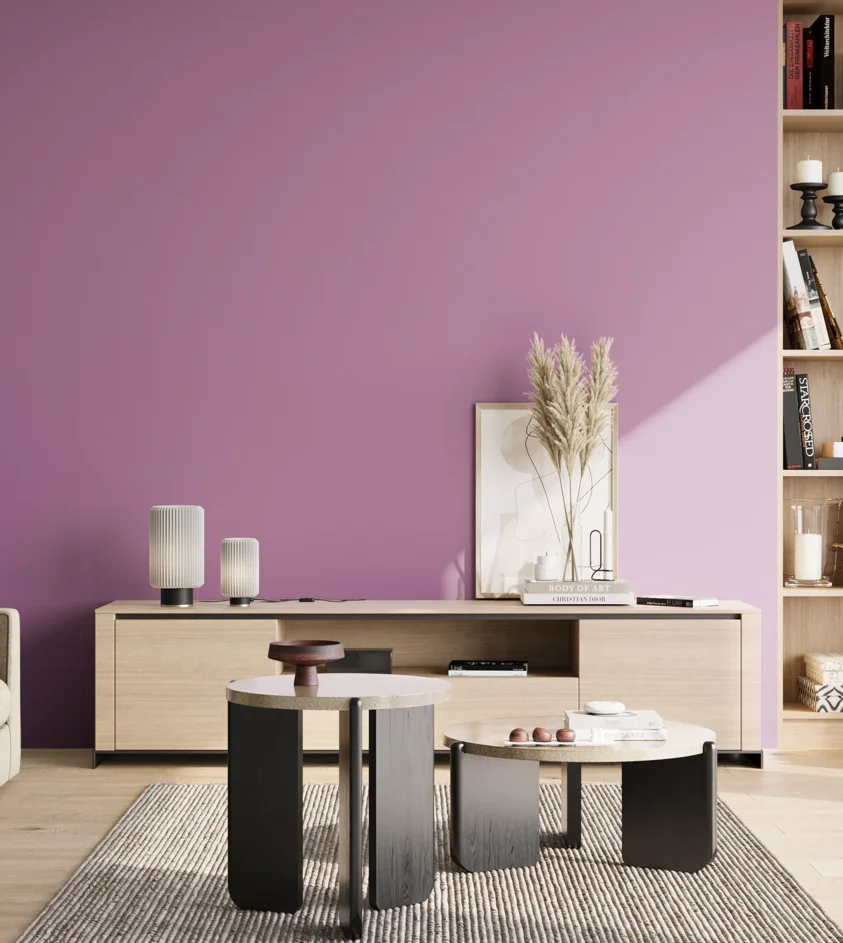P10_SNIEZKA_salon_02_poludnie_GREY_S2040-R40B
