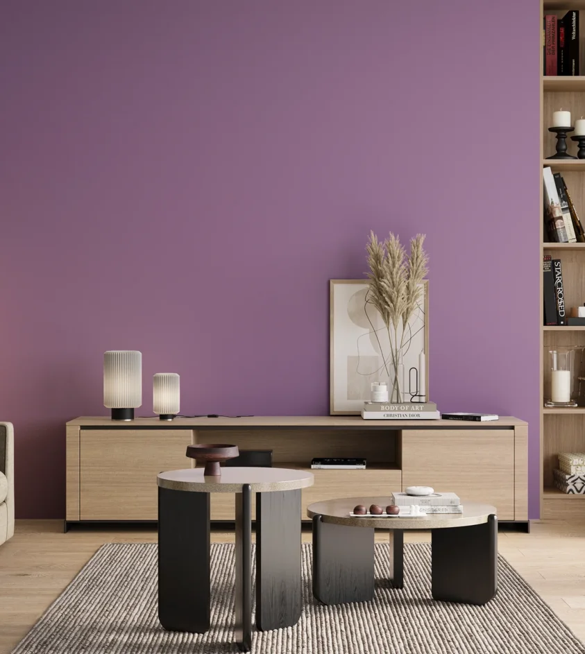 P10_SNIEZKA_salon_00_neutral_GREY_S2040-R50B