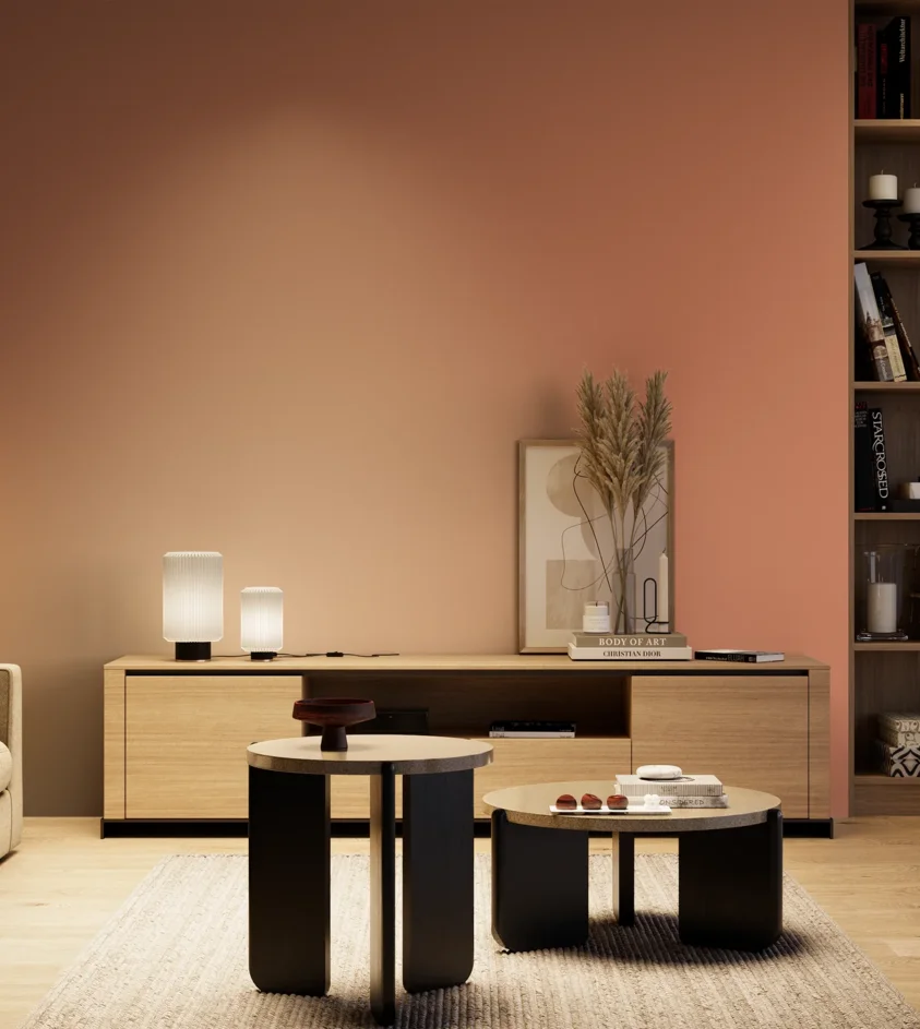 P10_SNIEZKA_salon_04_cieple_GREY_S2040-Y70R