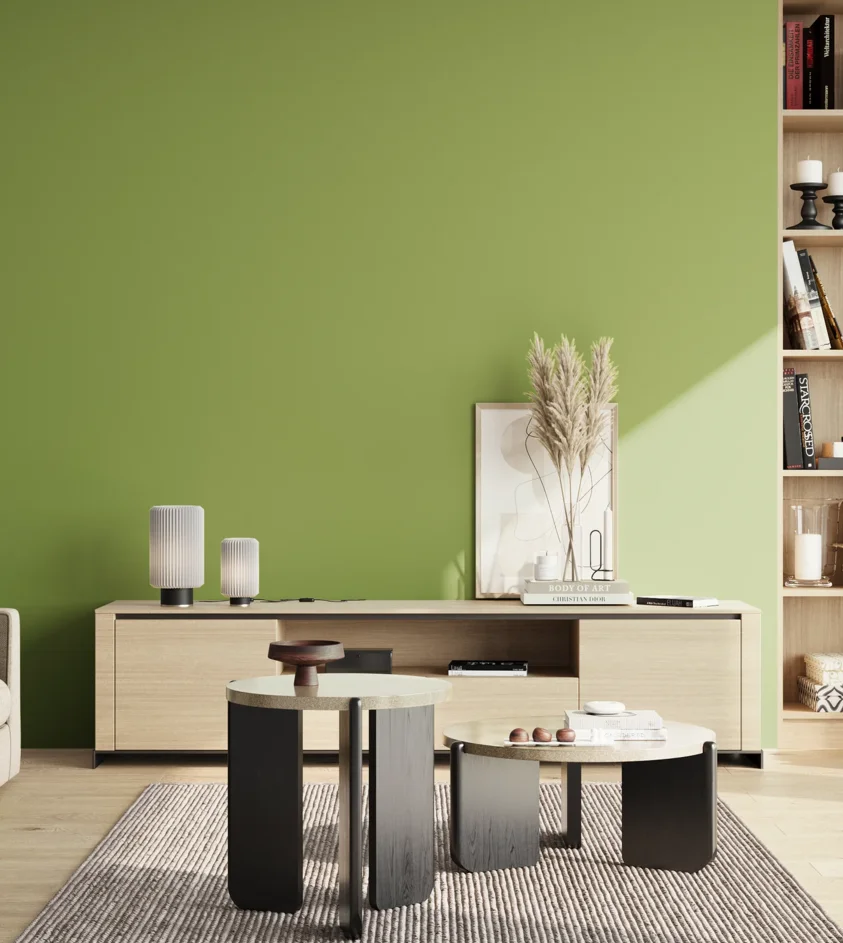 P10_SNIEZKA_salon_02_poludnie_GREY_S2050-G40Y