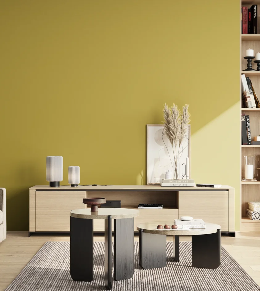 P10_SNIEZKA_salon_02_poludnie_GREY_S2050-G90Y