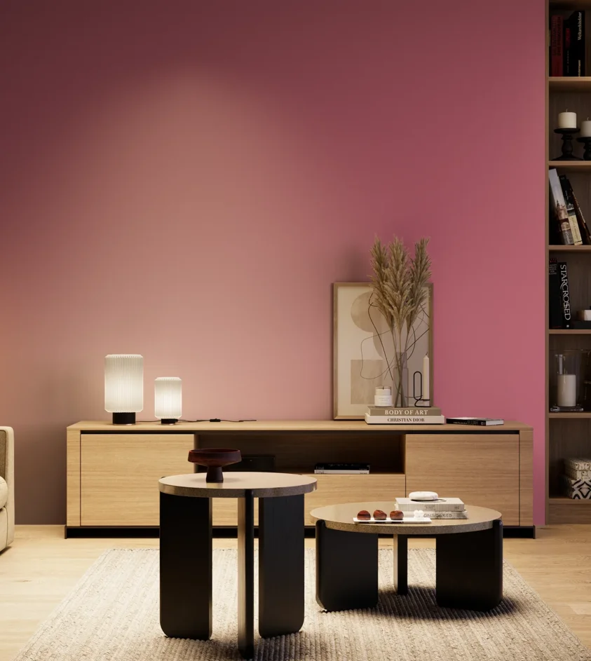 P10_SNIEZKA_salon_04_cieple_GREY_S2050-R20B
