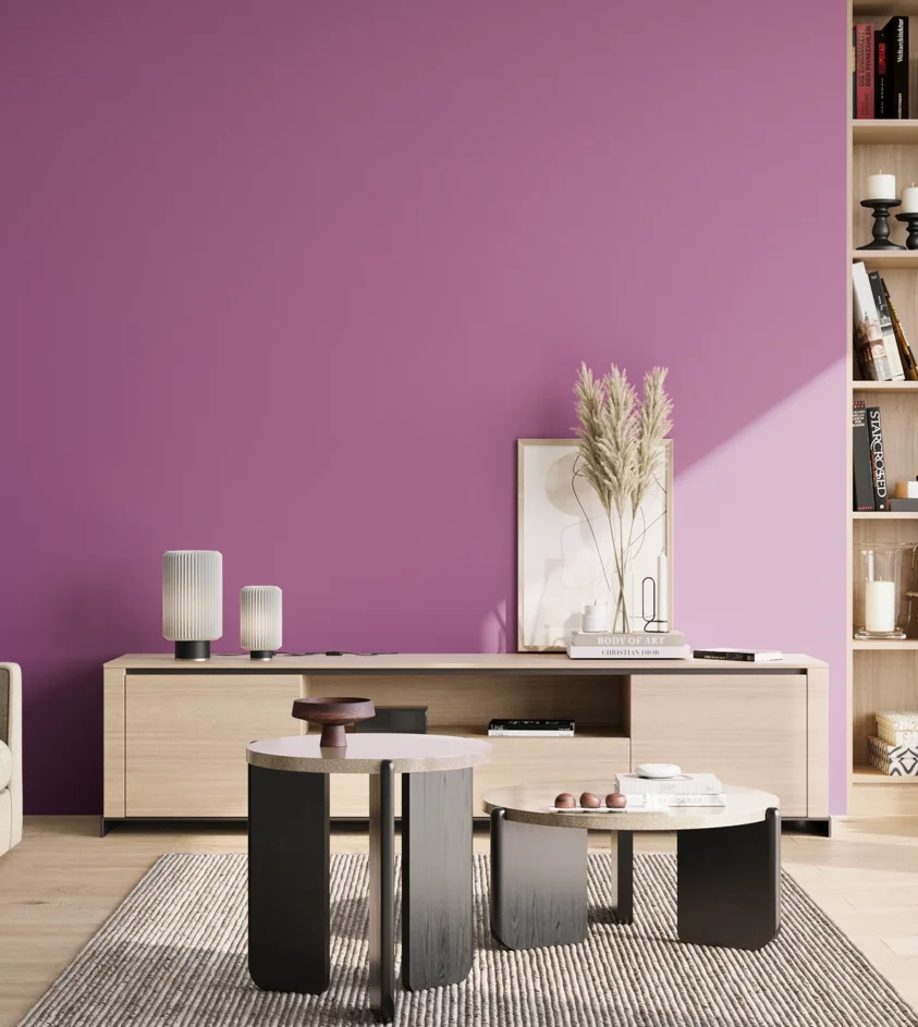 P10_SNIEZKA_salon_02_poludnie_GREY_S2050-R40B
