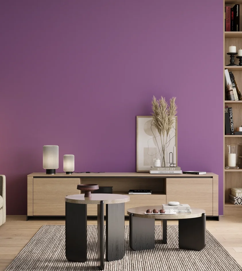 P10_SNIEZKA_salon_00_neutral_GREY_S2050-R50B