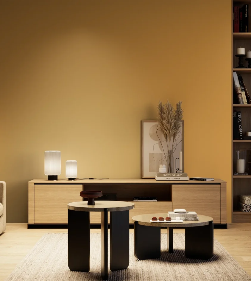 P10_SNIEZKA_salon_04_cieple_GREY_S2050-Y20R