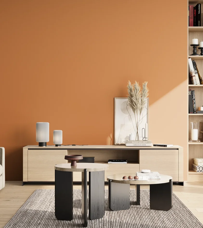 P10_SNIEZKA_salon_02_poludnie_GREY_S2050-Y40R