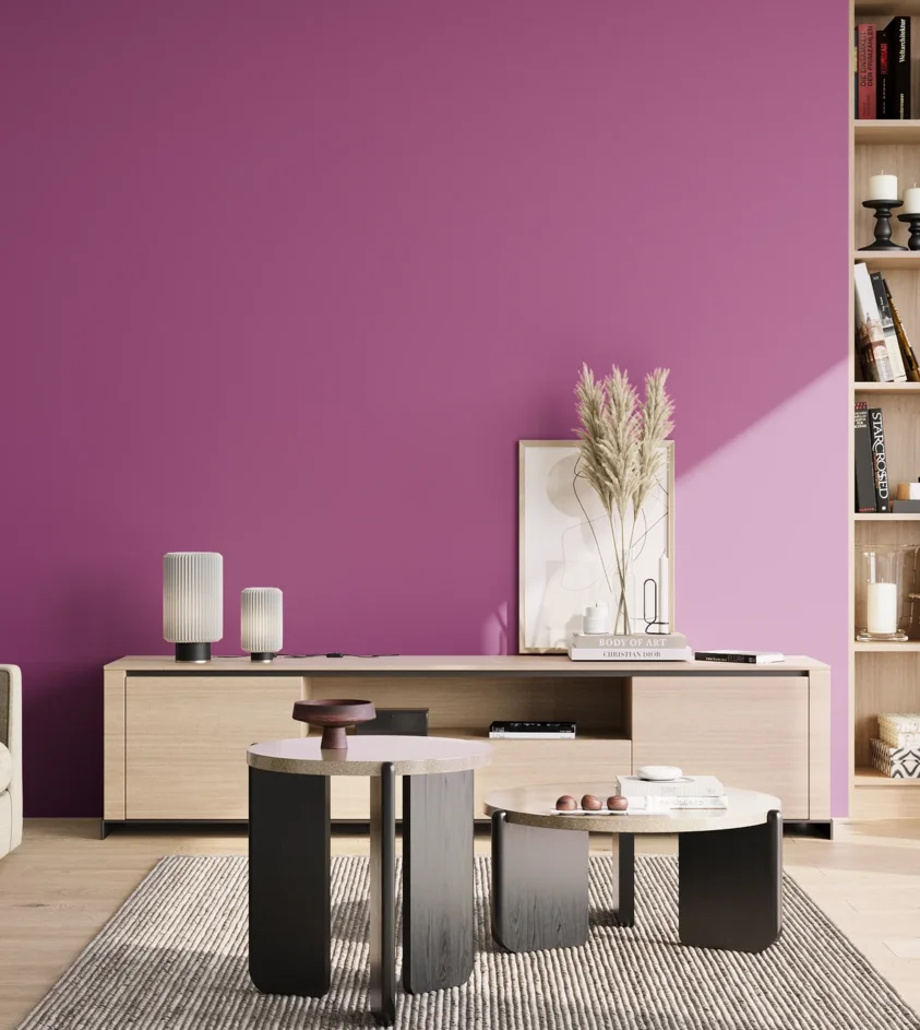 P10_SNIEZKA_salon_02_poludnie_GREY_S2060-R40B