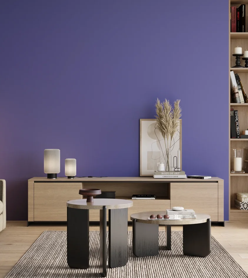 P10_SNIEZKA_salon_00_neutral_GREY_S2060-R70B