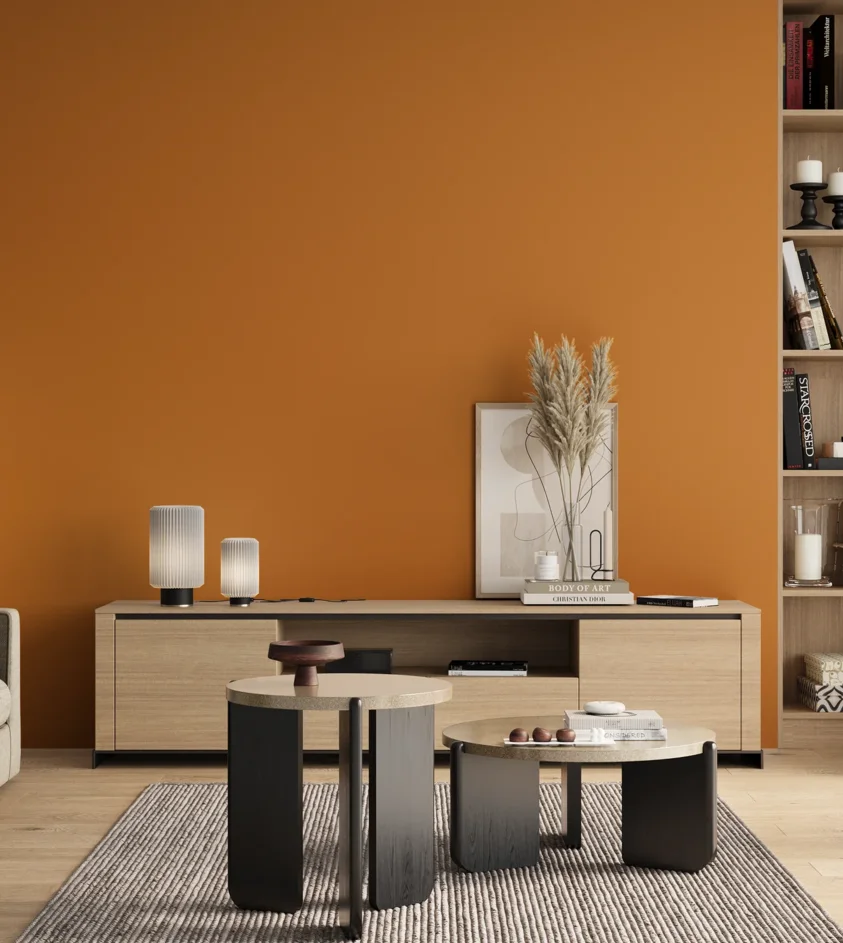 P10_SNIEZKA_salon_00_neutral_GREY_S2070-Y30R