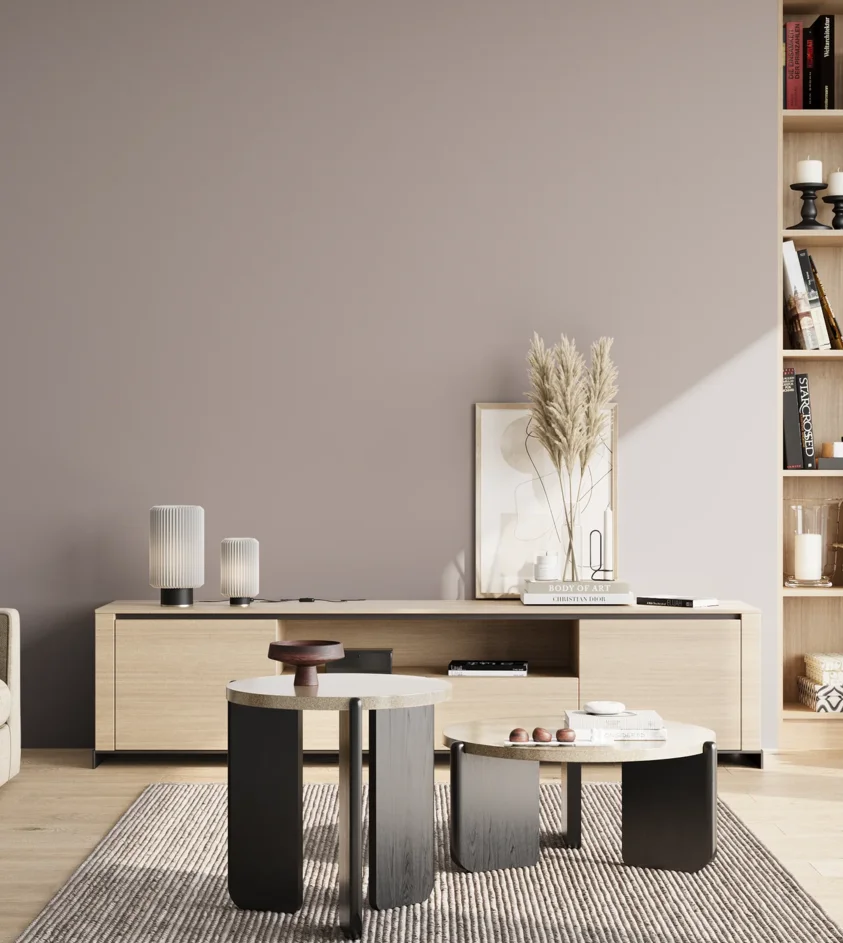 P10_SNIEZKA_salon_02_poludnie_GREY_S3005-R20B
