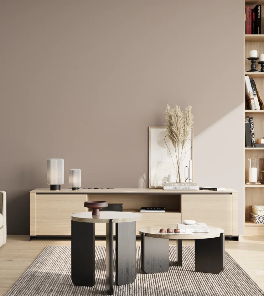 P10_SNIEZKA_salon_02_poludnie_GREY_S3005-Y80R