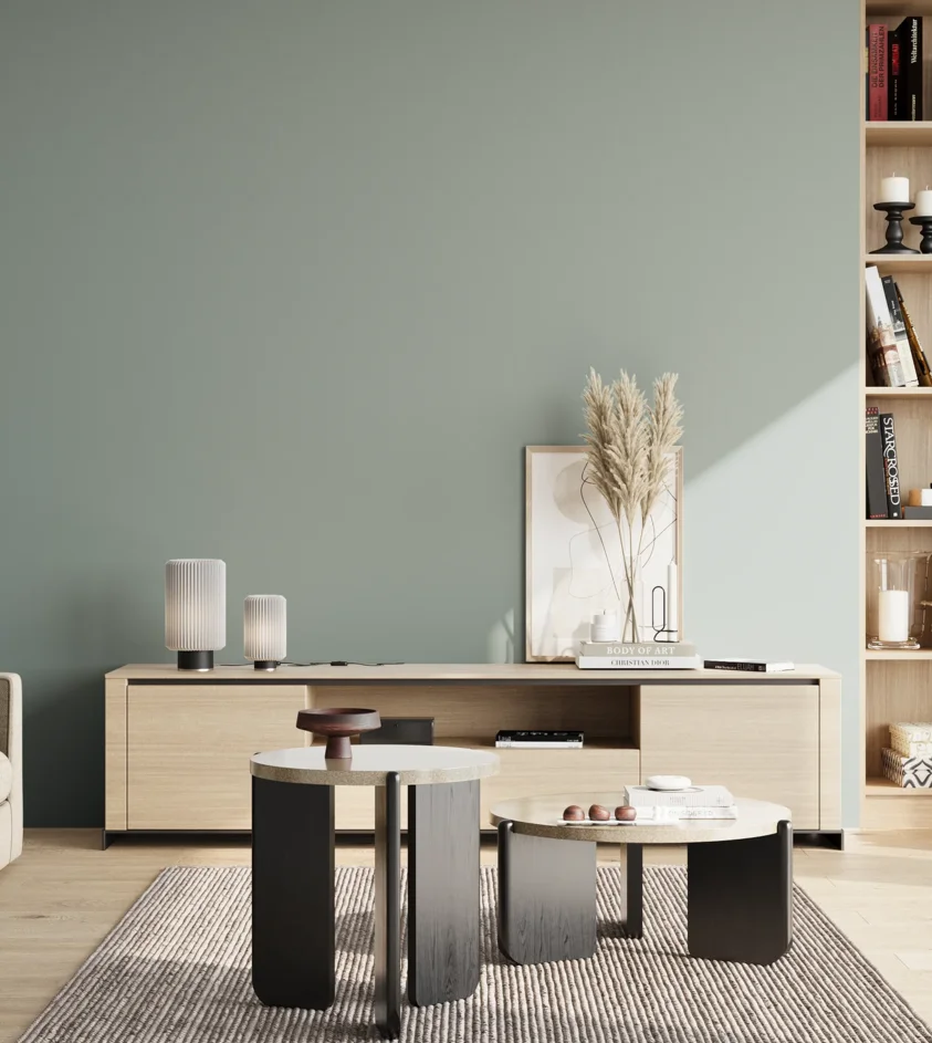 P10_SNIEZKA_salon_02_poludnie_GREY_S3010-B70G