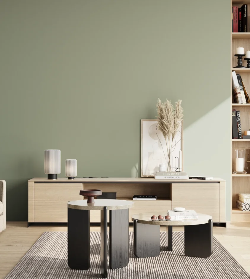 P10_SNIEZKA_salon_02_poludnie_GREY_S3010-G30Y