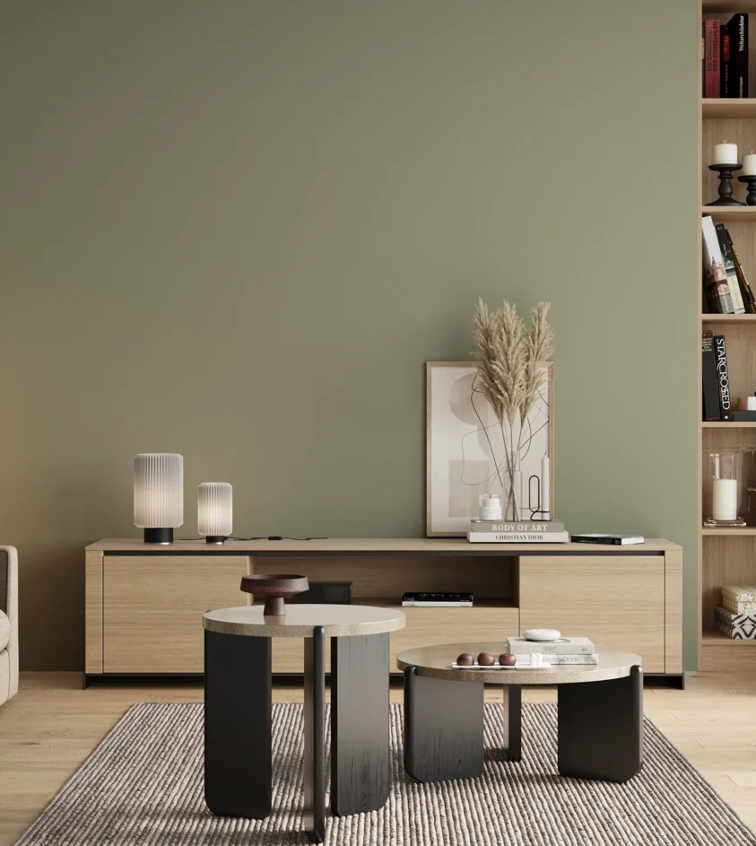 P10_SNIEZKA_salon_00_neutral_GREY_S3010-G40Y