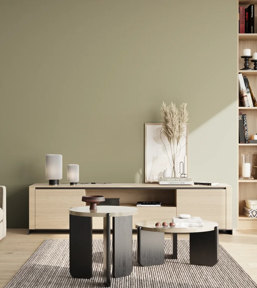 P10_SNIEZKA_salon_02_poludnie_GREY_S3010-G80Y