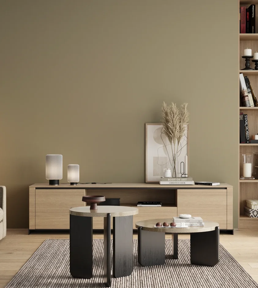 P10_SNIEZKA_salon_00_neutral_GREY_S3010-G90Y