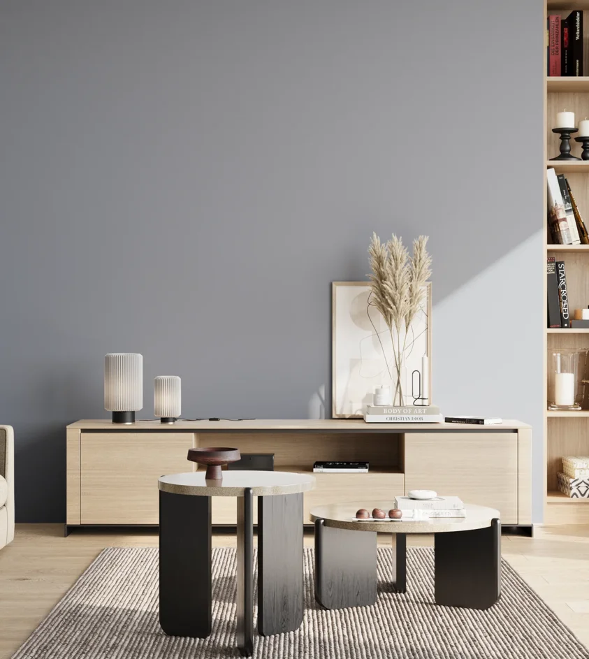 P10_SNIEZKA_salon_02_poludnie_GREY_S3010-R80B