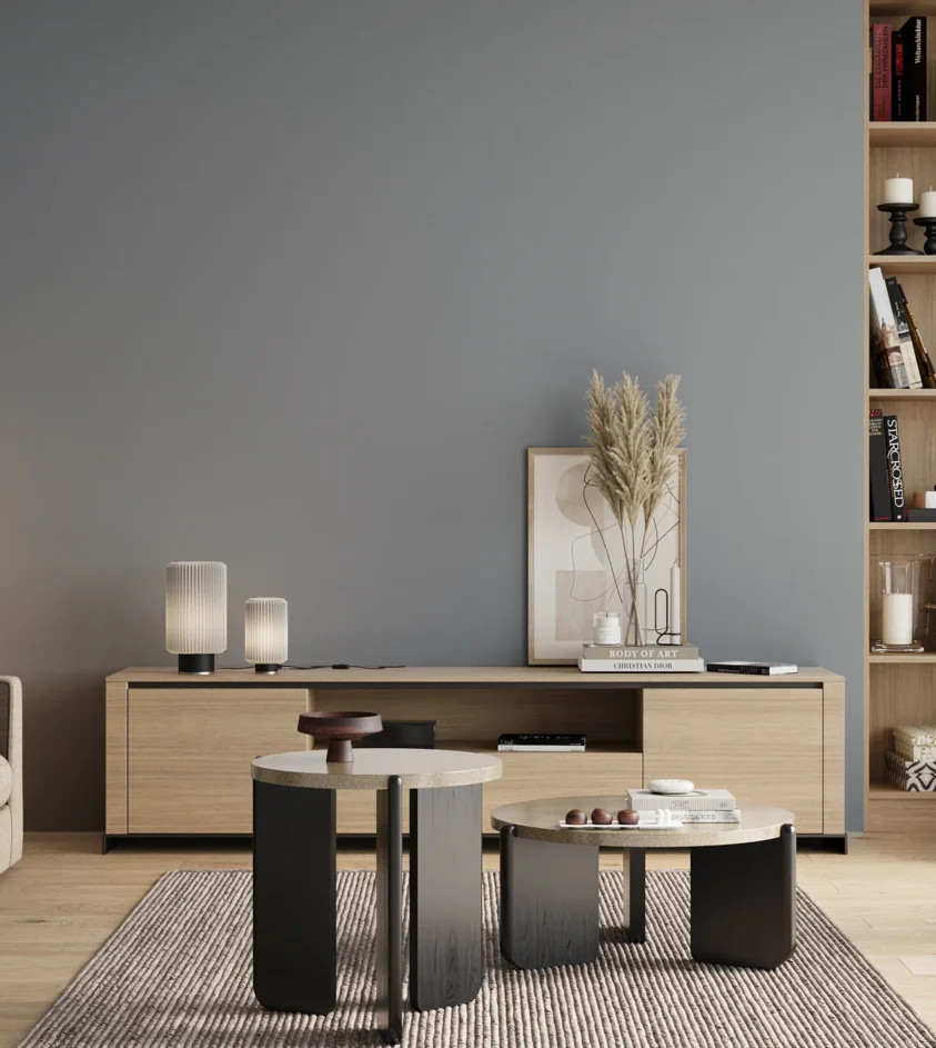 P10_SNIEZKA_salon_00_neutral_GREY_S3010-R90B