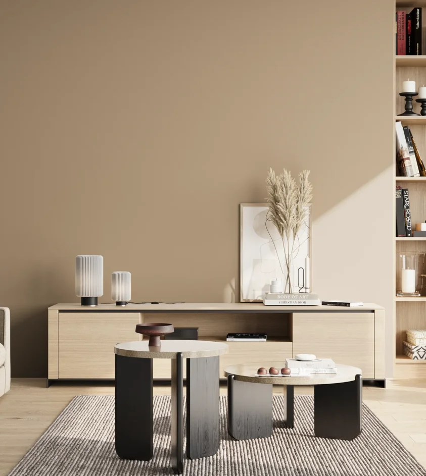 P10_SNIEZKA_salon_02_poludnie_GREY_S3010-Y30R