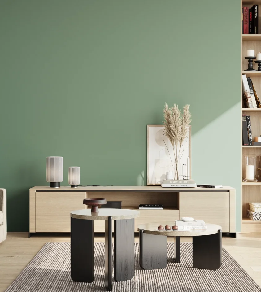 P10_SNIEZKA_salon_02_poludnie_GREY_S3020-G