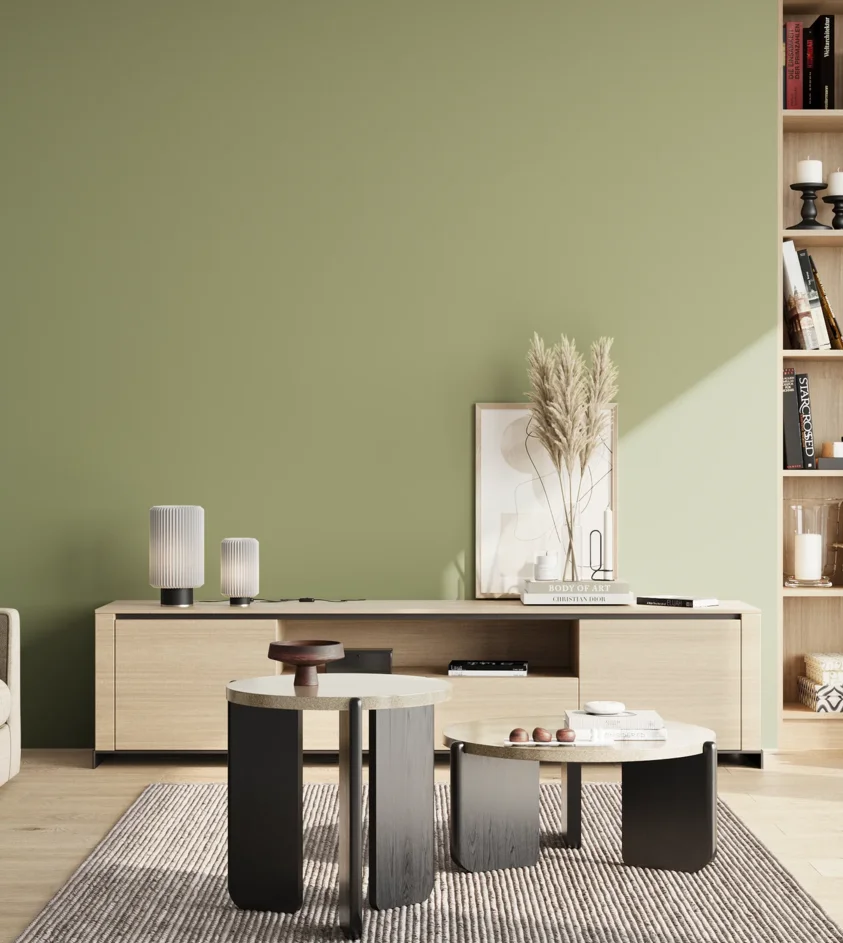 P10_SNIEZKA_salon_02_poludnie_GREY_S3020-G50Y