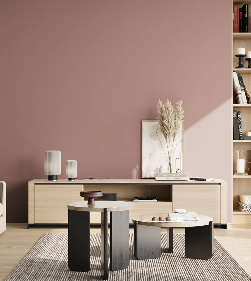P10_SNIEZKA_salon_02_poludnie_GREY_S3020-R