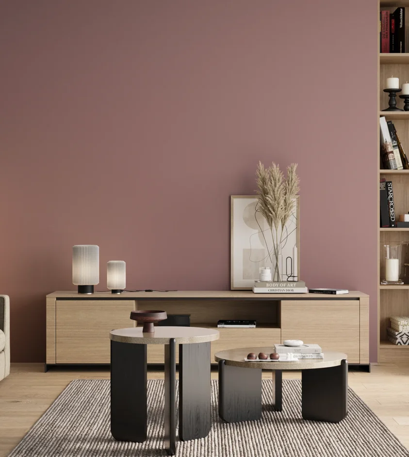 P10_SNIEZKA_salon_00_neutral_GREY_S3020-R10B
