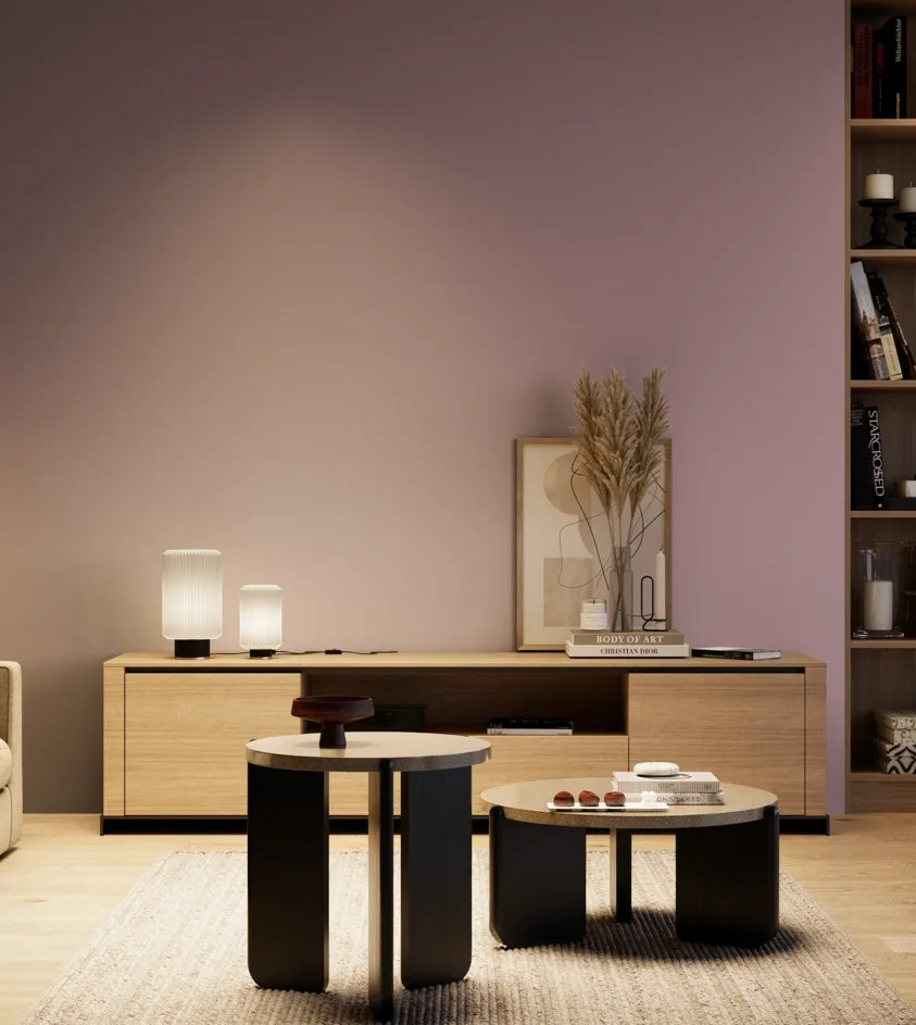 P10_SNIEZKA_salon_04_cieple_GREY_S3020-R30B