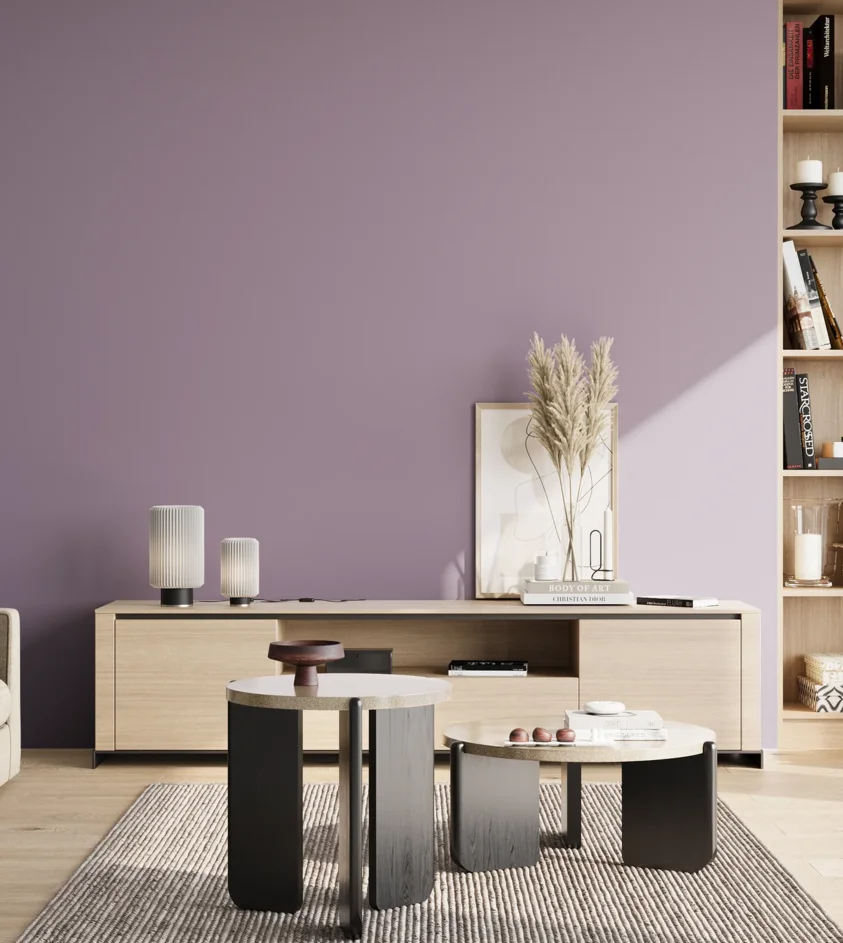 P10_SNIEZKA_salon_02_poludnie_GREY_S3020-R50B