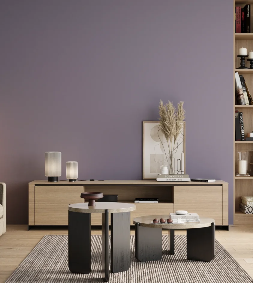 P10_SNIEZKA_salon_00_neutral_GREY_S3020-R60B