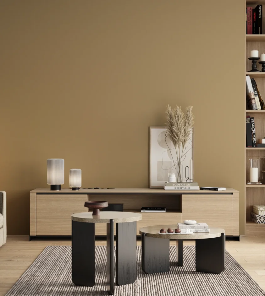 P10_SNIEZKA_salon_00_neutral_GREY_S3020-Y10R