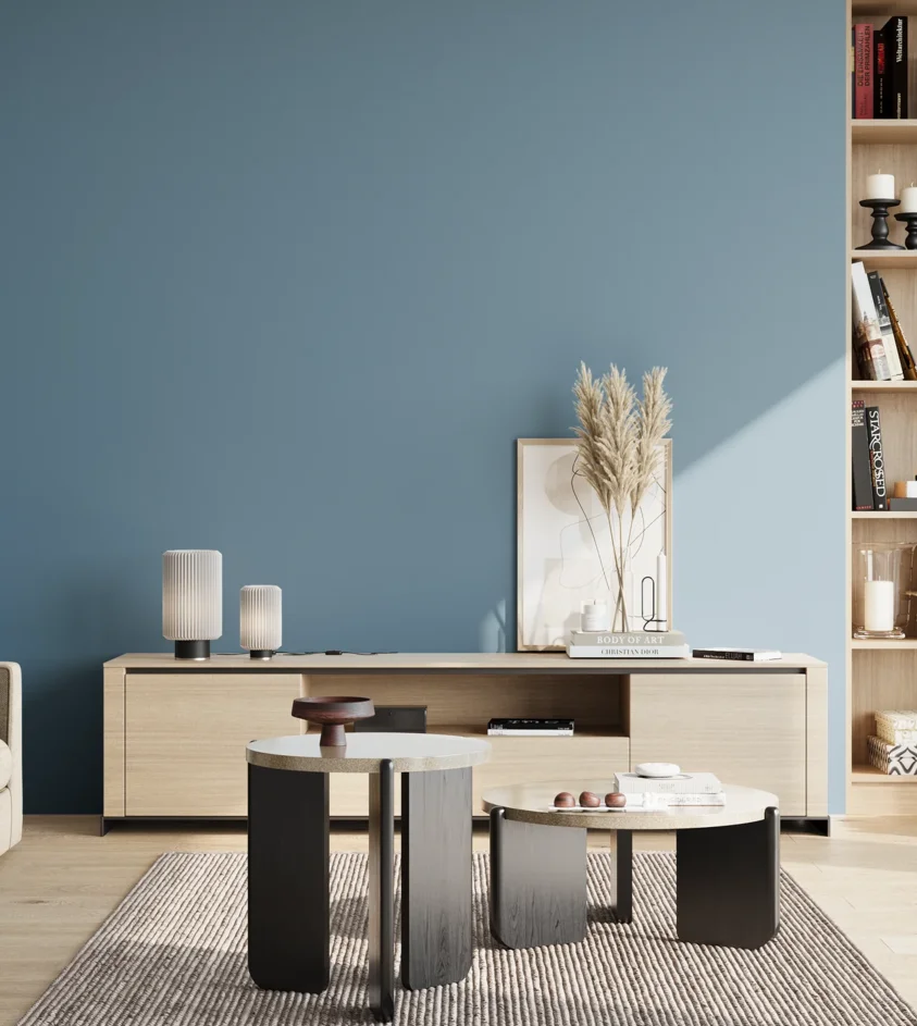 P10_SNIEZKA_salon_02_poludnie_GREY_S3030-B