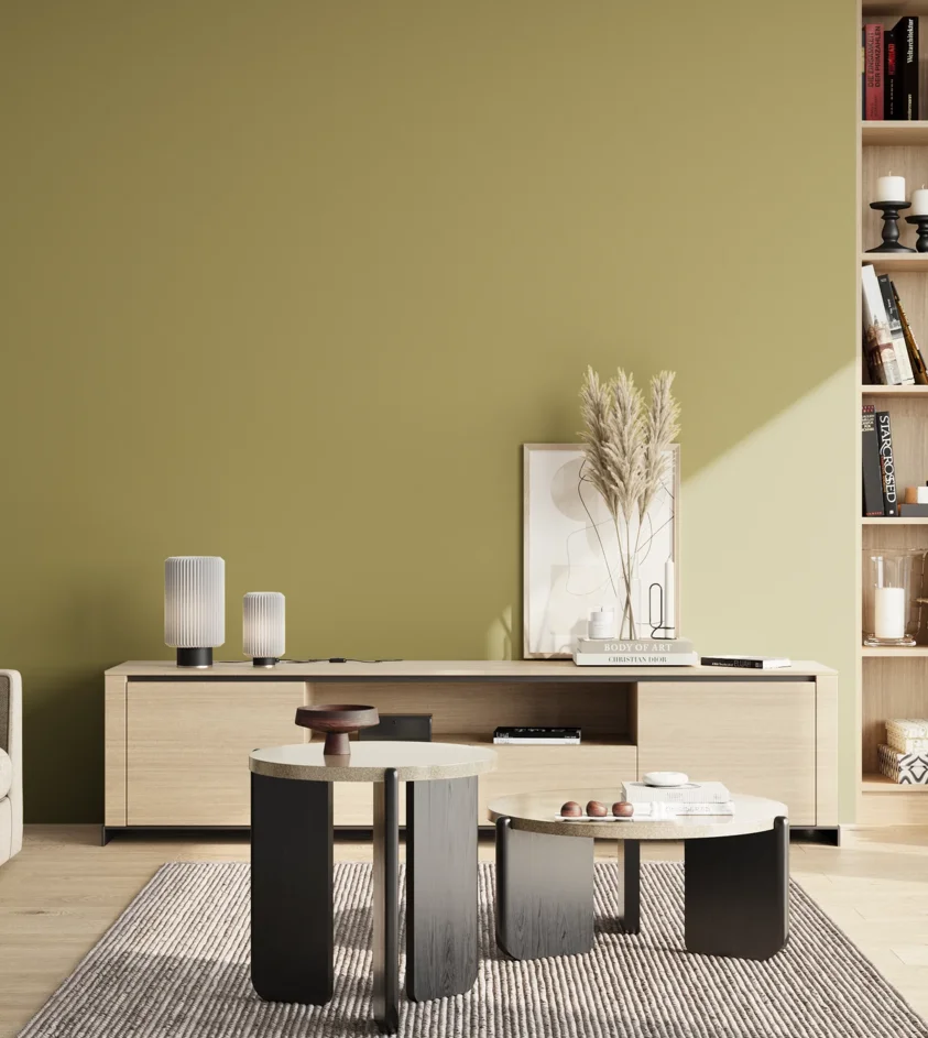 P10_SNIEZKA_salon_02_poludnie_GREY_S3030-G80Y