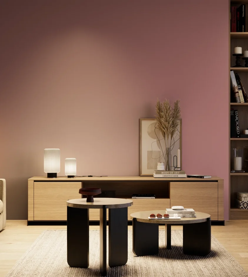 P10_SNIEZKA_salon_04_cieple_GREY_S3030-R10B