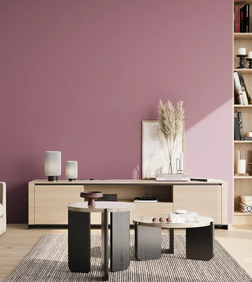 P10_SNIEZKA_salon_02_poludnie_GREY_S3030-R30B